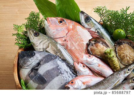 鮮魚盛り合わせ 鮮魚盛り合わせ 85688797