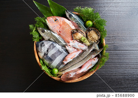 鮮魚盛り合わせ 鮮魚盛り合わせ 85688900
