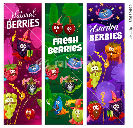 Cartoon funny berry wizard, warlock, witch, fairy, sorcerer and mage characters. Vector strawberry, cherry and cranberry, grape, blackberry, gooseberry and raspberry with magic wand, hats, spellbook 85689690