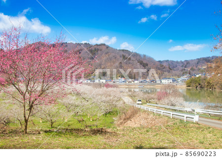 ろうかく梅園 ろうかく梅園 85690223