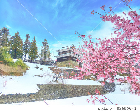 上田城下に名残り雪とヤマザクラ 上田城下に名残り雪とヤマザクラ 85690641