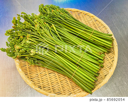 わらび わらび 85692054