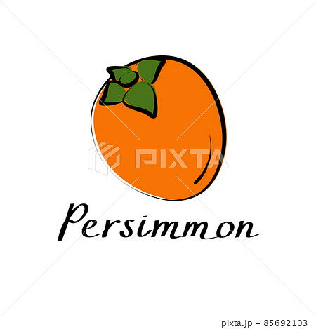 Persimmon vector cartoon flat illustration. Diospyros kaki sign. Fresh fruit and vegetable logo 85692103