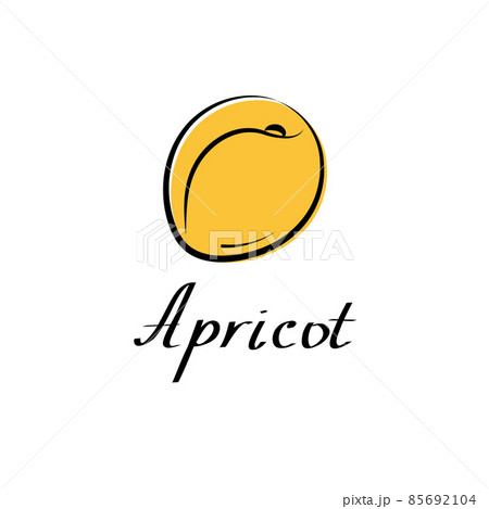 Apricot vector cartoon flat illustration. Fresh fruit and vegetable logo 85692104