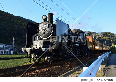 大井川鉄道SL(C56)141123pm2:56-2 大井川鉄道SL(C56)141123pm2:56-2 85692966