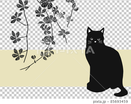 Cat black cat Cat black cat 85693459
