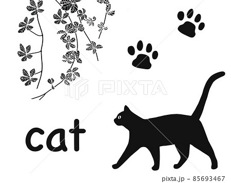 猫 黒猫 猫 黒猫 85693467