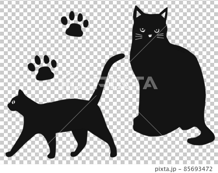 Cat black cat Cat black cat 85693472