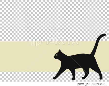 Black cat  85693490