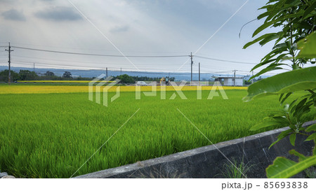 台湾 台中市 台中 85693838