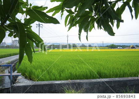 台湾 台中市 台中 85693843
