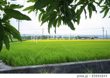 台湾 台中市 台中 85693844