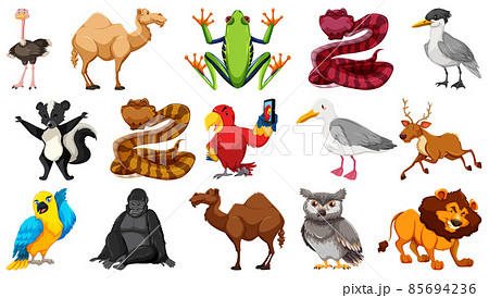 Set of different wild animals cartoon characters 85694236