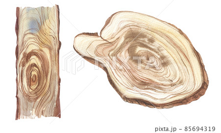 Watercolor wood Tree rings illustration. Hand drawn abstract background. Natural texture. Artistic design. For scrapbooking, greeting card, holiday invitation, postcard, poster, background 85694319