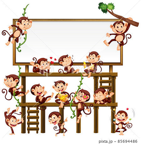 Little monkeys on park background Little monkeys on park background 85694486