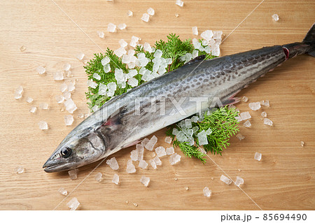 鰆(サワラ) 鰆(サワラ) 85694490