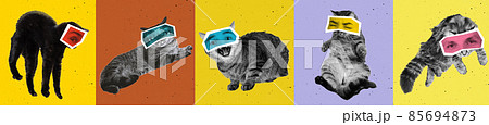 Contemporary art collage with bw portraits of cats with male eyes isolated over colored background. Animals with human emotions Contemporary art collage with bw portraits of cats with male eyes isolated over colored background. Animals with human emotions 85694873