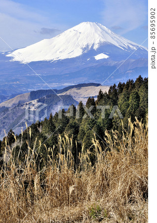 丹沢山地の高松山山頂から望む 雪化粧の富士山 丹沢山地の高松山山頂から望む 雪化粧の富士山 85695902