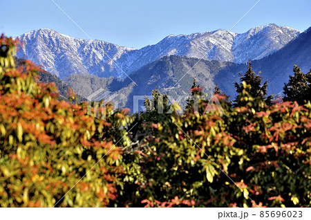 丹沢山地のシダンゴ山山頂より雪稜の丹沢主脈を望む 85696023