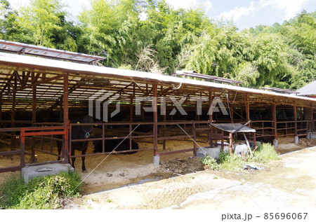 田舎の牛小屋　長野県飯田市 85696067