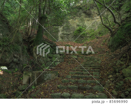 三重県 鈴鹿峠(坂下宿側) 85696990