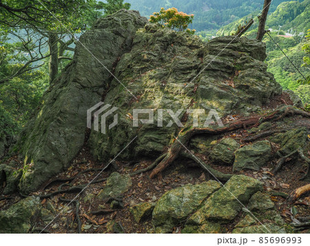 三重県 鈴鹿峠(坂下宿側)	 85696993