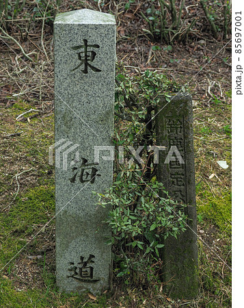 滋賀県 鈴鹿峠	 85697001