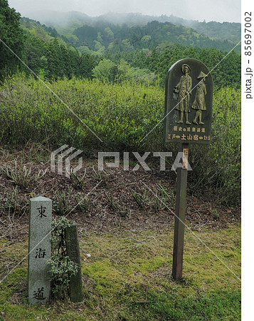 滋賀県 鈴鹿峠	 85697002