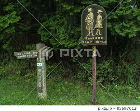 滋賀県 鈴鹿峠へ 85697012