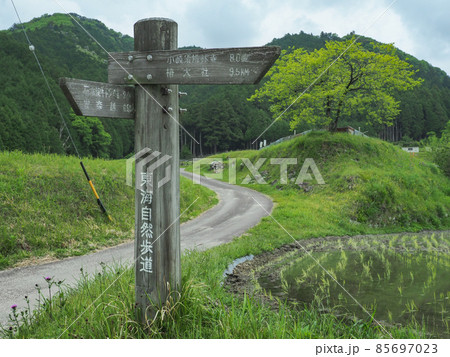 三重県 坂本棚田 85697023