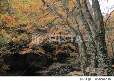 高知県 秋の中津渓谷 紅葉瀧 高知県 秋の中津渓谷 紅葉瀧 85698236
