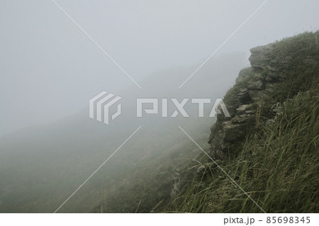 Field fog poor visibility, green flowering grasses 85698345