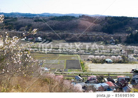 展望台からの夏井千本桜の眺望　 85698590