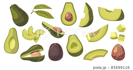 Set of Avocado Vegetarian Food Ingredient Design Elements. Fresh Fruit or Vegetable Whole, Diced or Sliced Pieces 85699116