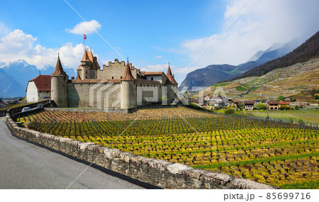 Panoramic view of the Aigle castle and vineyards in swiss Alps mountains, Switzerland Panoramic view of the Aigle castle and vineyards in swiss Alps mountains, Switzerland 85699716