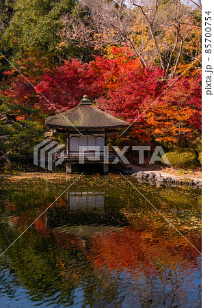 秋の和歌山城西の丸庭園 和歌山県和歌山市 秋の和歌山城西の丸庭園 和歌山県和歌山市 85700754
