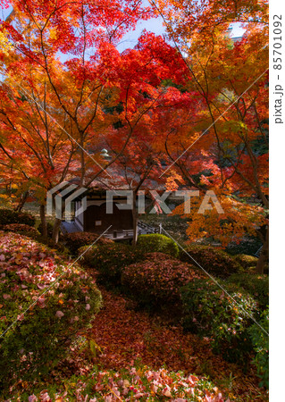 鳶魚閣と紅葉　和歌山城西の丸庭園　和歌山県和歌山市 85701092