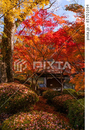 鳶魚閣と紅葉　和歌山城西の丸庭園　和歌山県和歌山市 85701094
