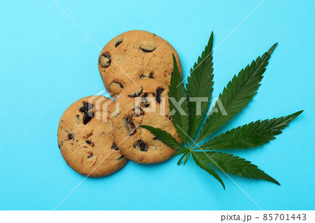 Cannabis cookies and leaf on blue background Cannabis cookies and leaf on blue background 85701443