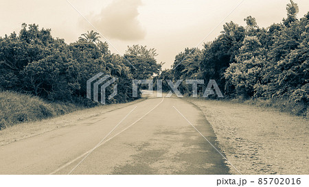 Road Bend Curve Trees Grass Destination 85702016