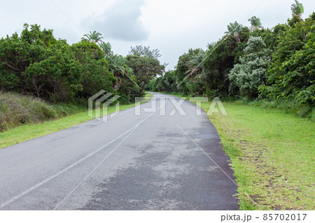 Road Bend Curve Trees Grass Destination 85702017