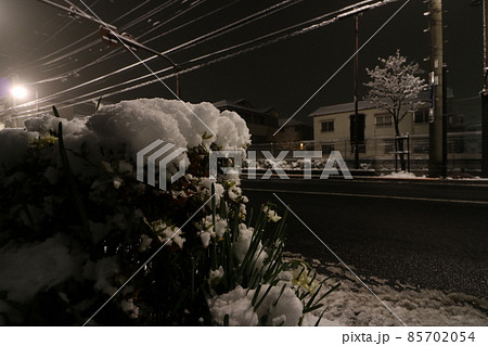 2022年1月の大雪が降った東京都足立区 85702054