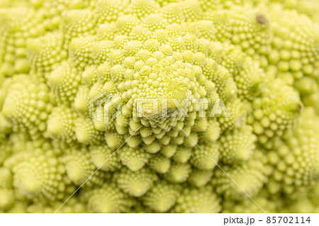 ロマネスコ マクロ撮影した花房 ロマネスコ マクロ撮影した花房 85702114