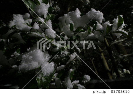 2022年1月の大雪が降った東京都足立区 85702316