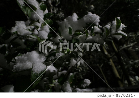 2022年1月の大雪が降った東京都足立区 85702317