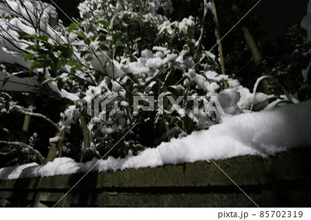 2022年1月の大雪が降った東京都足立区 85702319