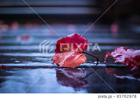 カジュアル 無造作 無頓着 85702978