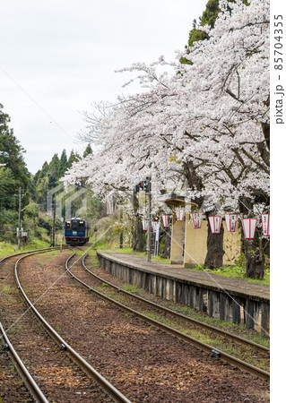 【のと鉄道】桜と能登鹿島駅 85704355