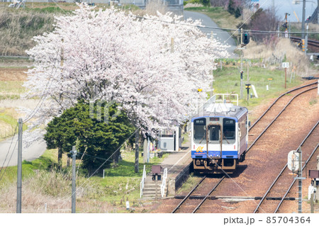 【のと鉄道】桜咲く西岸駅の俯瞰 【のと鉄道】桜咲く西岸駅の俯瞰 85704364