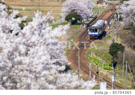 【のと鉄道】桜咲く西岸駅の俯瞰 85704365